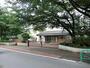 中学校　杉並区立宮前中学校（中学校）まで419m