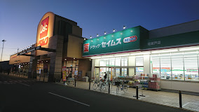 スーパー　ベルク 北坂戸店（スーパー）まで555m