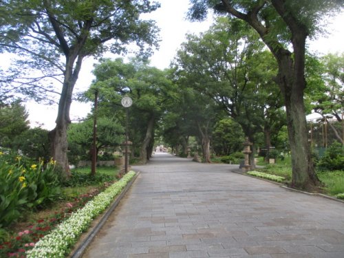 【大阪市住之江区安立のマンションの公園】