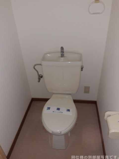 【ドミール上野のトイレ】
