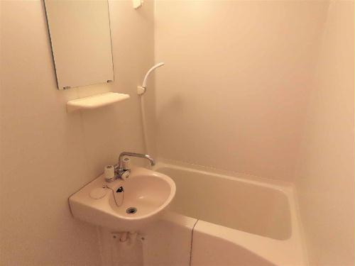 バス・シャワールーム　洗面台とユニット式のお風呂です