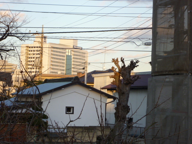 ペアシャテロ_その他_7