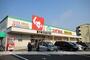 ドラックストア　スギ薬局　豊中春日店（ドラッグストア）まで586m