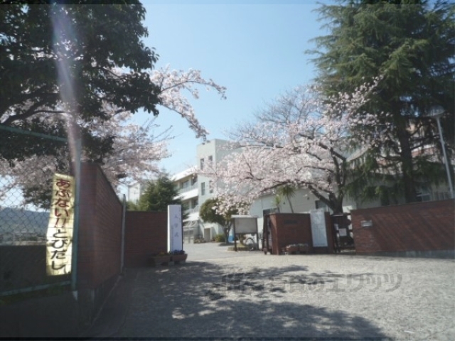 小学校　長岡第四小学校（小学校）まで450m