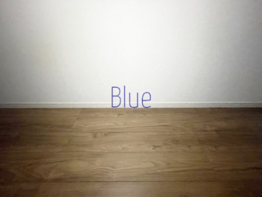 居室・リビング　同施工