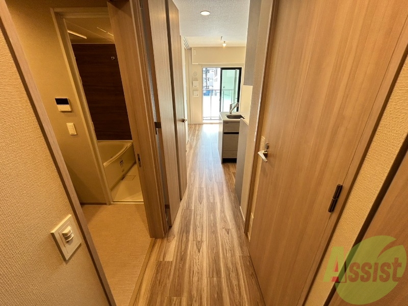 玄関　玄関からの様子です。照明の電気は自動で付くタイプです。