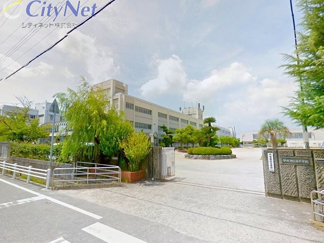 小学校　伊丹市立南小学校（小学校）まで744m