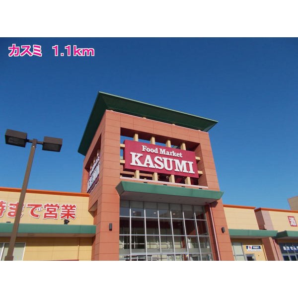 その他　カスミ（その他）まで1100m
