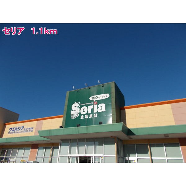 その他　セリア（その他）まで1100m