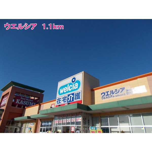 その他　ウエルシア（その他）まで1100m