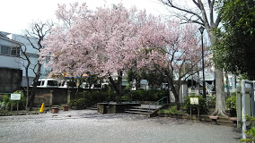 公園　中落合公園（公園）まで465m