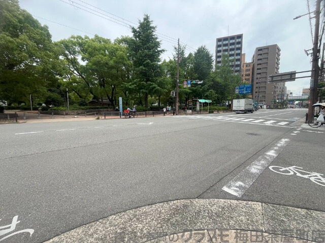 その他　周辺道路（その他）まで10m