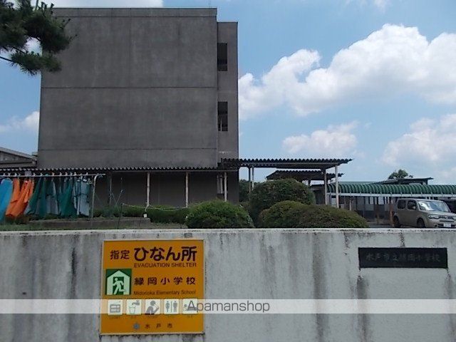 小学校　緑岡小学校（小学校）まで1000m