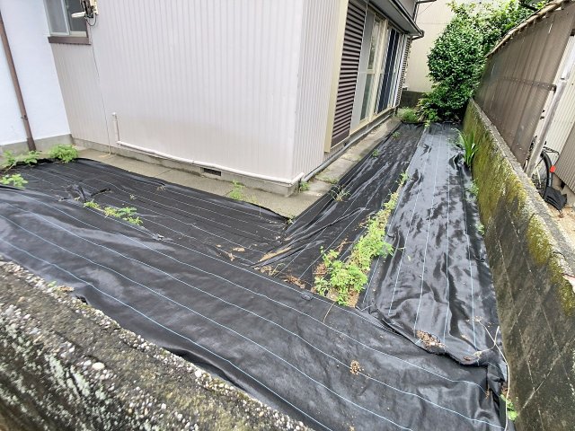 庭　2026年8月撮影※現況が相違する場合は現況を優先致します。