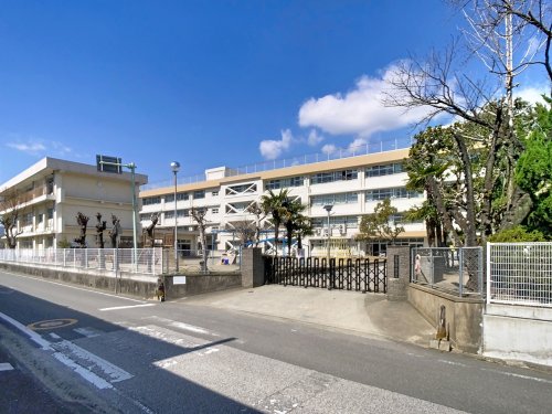 小学校　高知市立一ツ橋小学校（小学校）まで562m