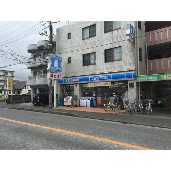 コンビニ　ローソン厚木駅前店（コンビニ）まで224m