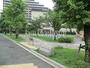 公園　新砂めぐみ公園（公園）まで251m