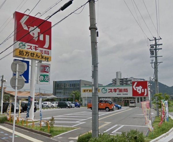 ドラックストア　スギ薬局野洲店（ドラッグストア）まで1042m