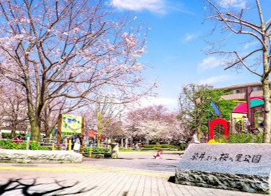 公園　豊島区立染井よしの桜の里公園（公園）まで390m
