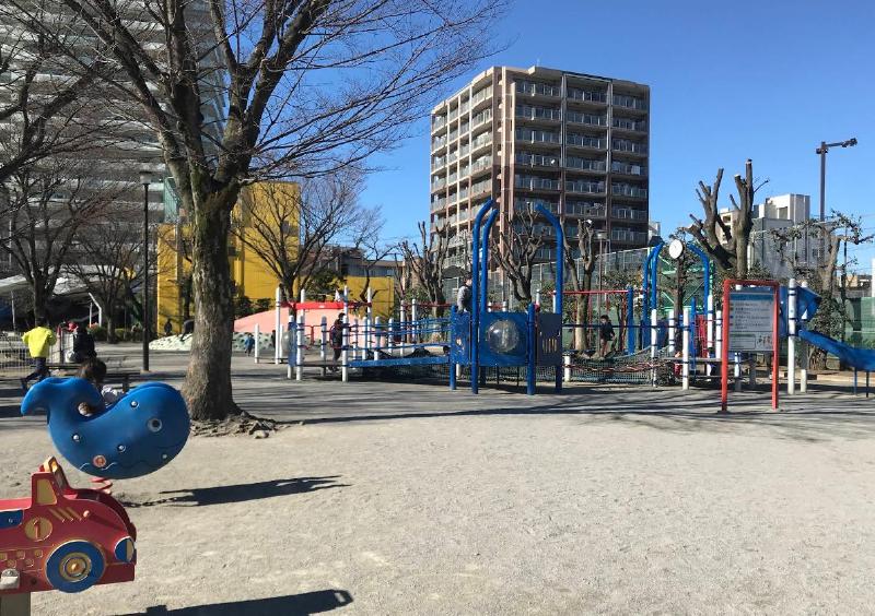 公園　渋江公園（公園）まで260m