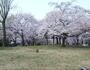 公園　南河原公園（公園）まで20m