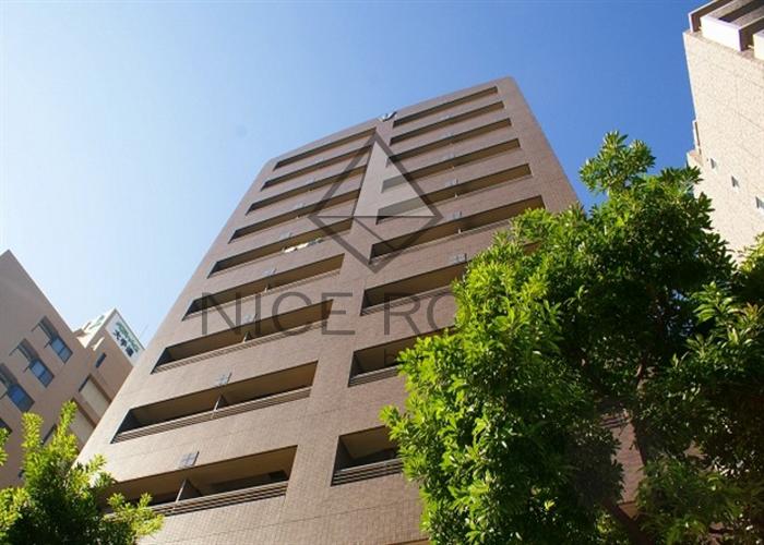 建物外観　エイペックス大手前　外観