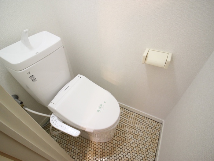 ドミール大興Iのトイレ写真