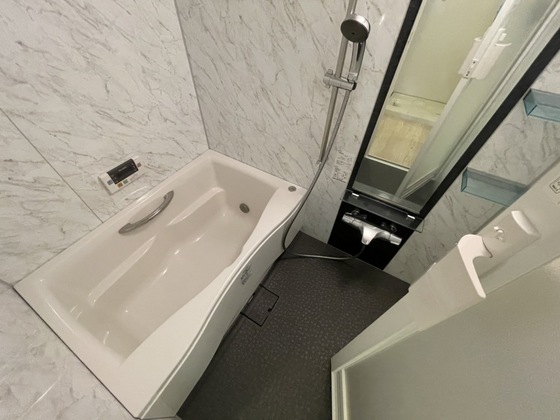 バス・シャワールーム　※別部屋の写真です
