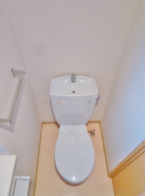 トイレ　206号室の写真です。
