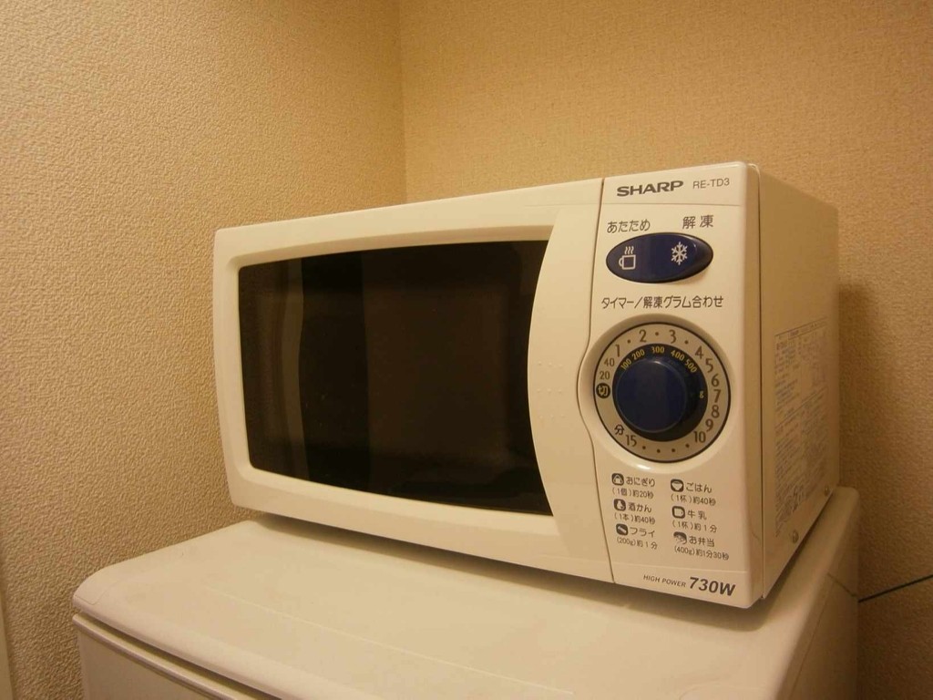 その他　電子レンジ