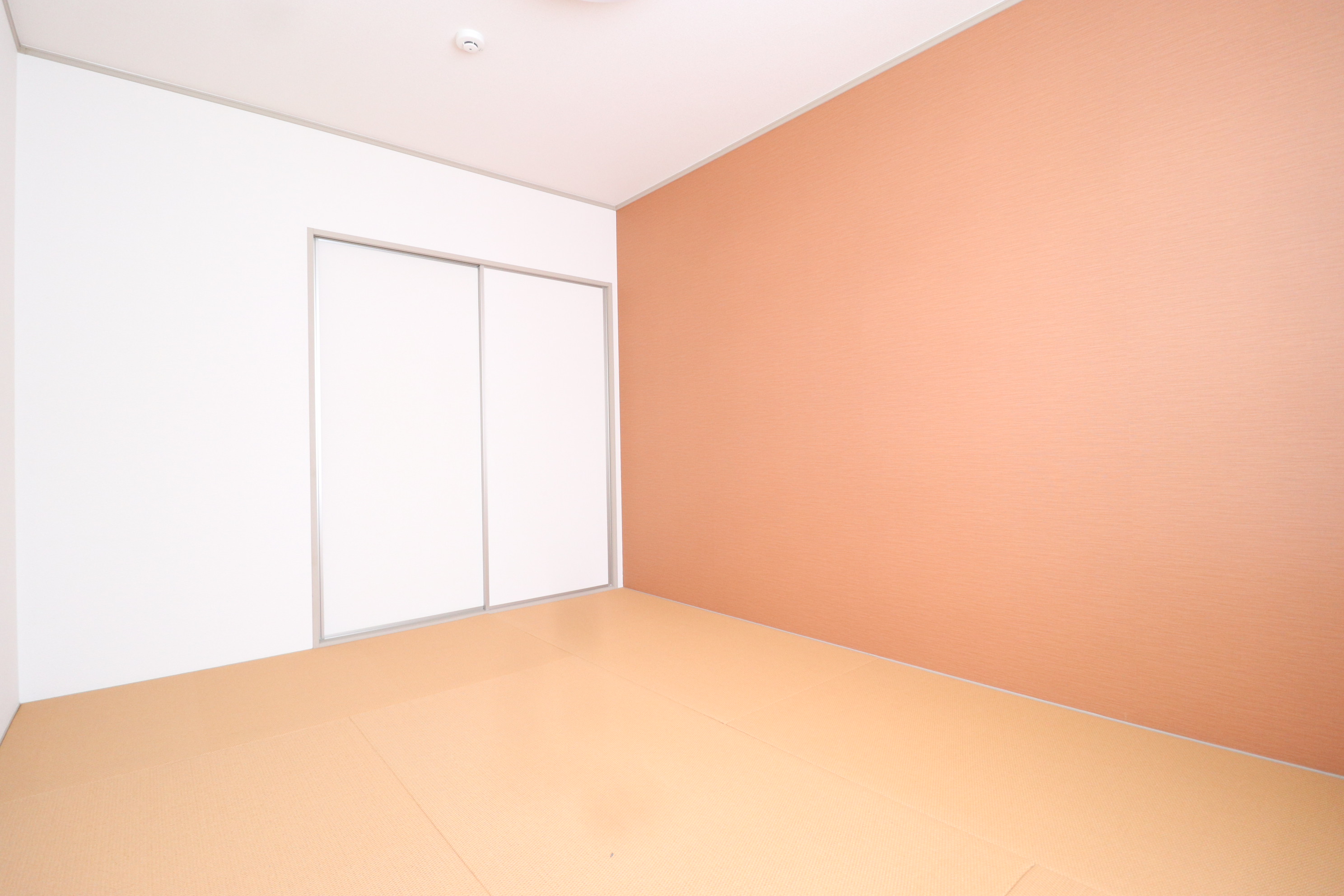 眺望　パルプ畳の和室です！