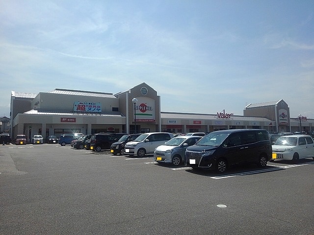 ショッピングセンター　アップルヒル（ショッピングセンター）まで1500m