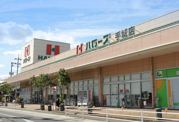 スーパー　ハローズ手城店（スーパー）まで591m