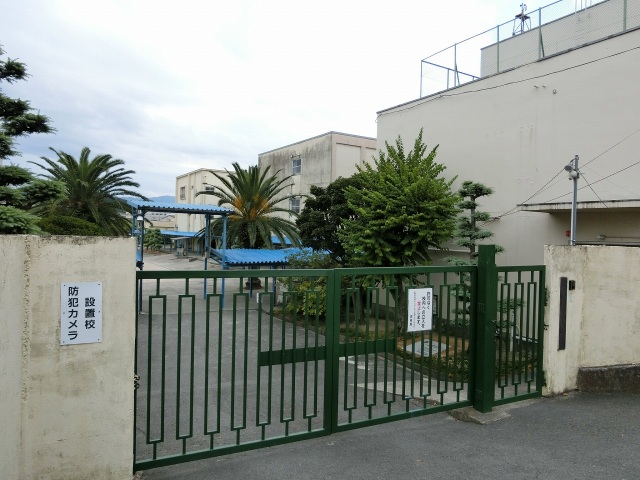 小学校　藤井寺市立道明寺東小学校（小学校）まで795m