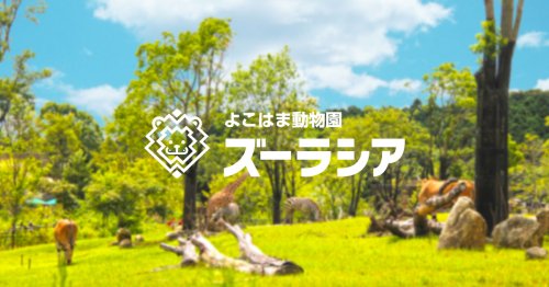 【ザ・パークハウス横濱中山のその他】