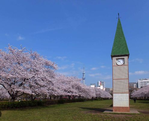 公園　猿江恩賜公園（公園）まで749m
