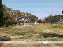 公園　松の木公園（公園）まで1200m