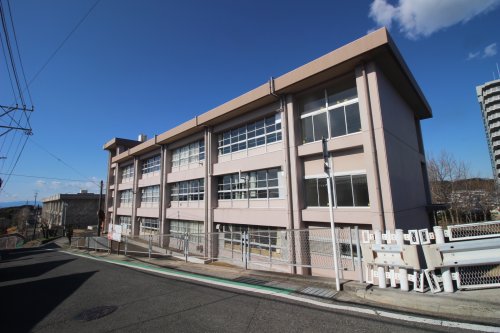 小学校　富士見小学校（小学校）まで1069m