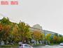 小学校　伊丹市立伊丹小学校（小学校）まで700m