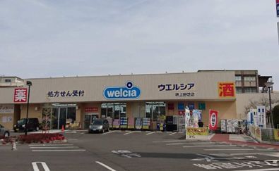 ドラックストア　ウエルシア　堺上野芝店（ドラッグストア）まで734m