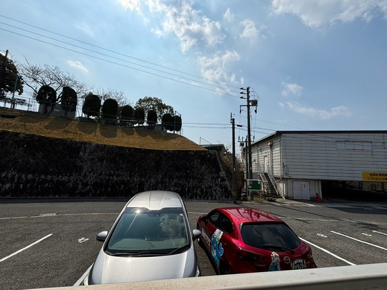 眺望　※別部屋の写真です