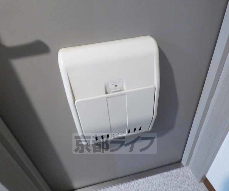 その他　玄関の郵便受けです。