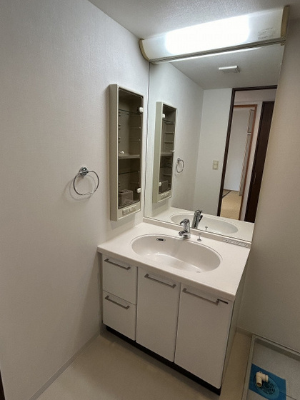 洗面設備　※別部屋の写真です
