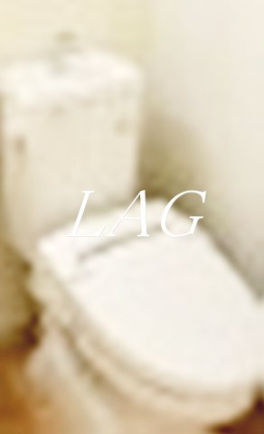 トイレ　トイレです。（同仕様設備です。）