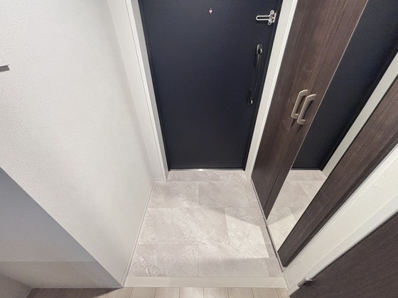 玄関　同仕様タイプ