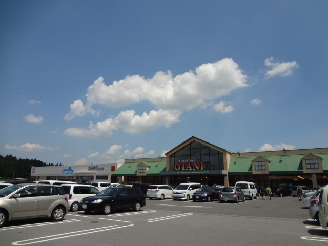 スーパー　フードオアシスＯＴＡＮＩ大沢店（スーパー）まで403m