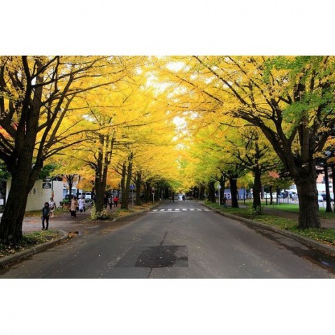 GrandEterna北大前IIIグランエターナ北大前III_その他_6