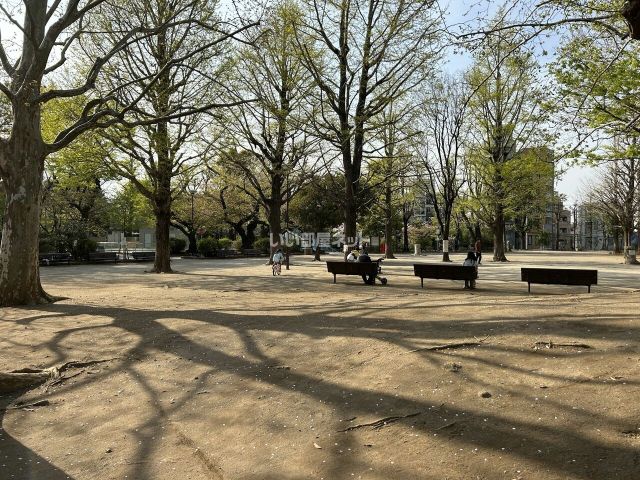 公園　中野区立新井薬師公園（公園）まで385m