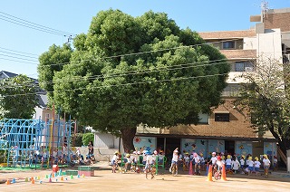 幼稚園・保育園　宮川幼稚園（幼稚園・保育園）まで675m