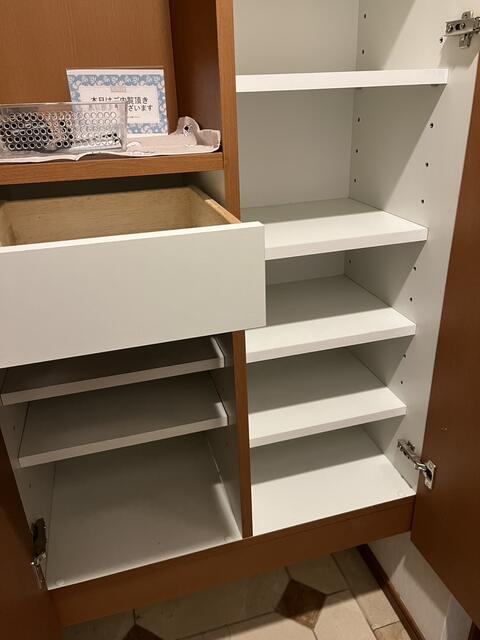 収納　シューズボックス内